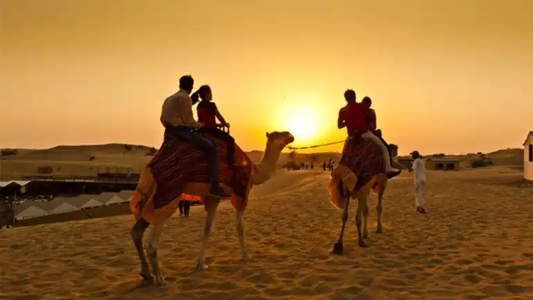 Desert Safari In UAE | Before Visit Must Read | FAQs