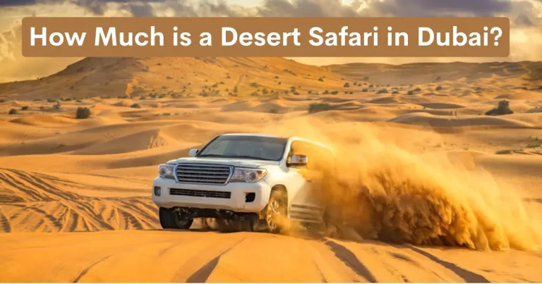 How Much is a Desert Safari in Dubai?